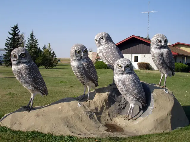 Burrowing owl sculpture